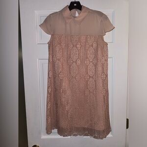 Elegant Lace Dress with Sheer Collar